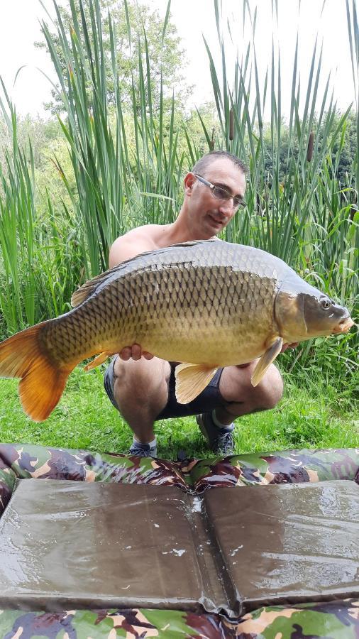 Les Etangs Du Moulin D'Harcy Hotel Lonny ภายนอก รูปภาพ